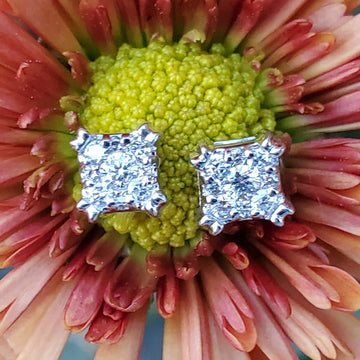 14k White Gold 1 CTW Diamond Princess Cut Stud Earrings DER-26009